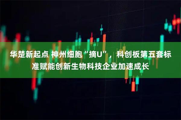 华楚新起点 神州细胞“摘U”，科创板第五套标准赋能创新生物科技企业加速成长