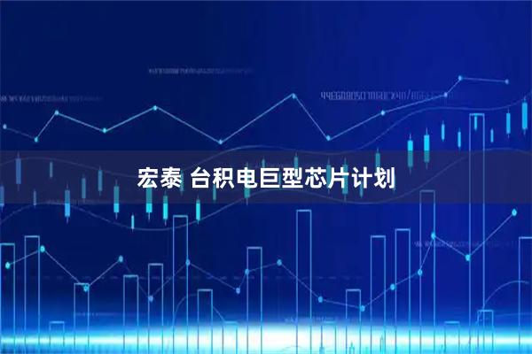 宏泰 台积电巨型芯片计划