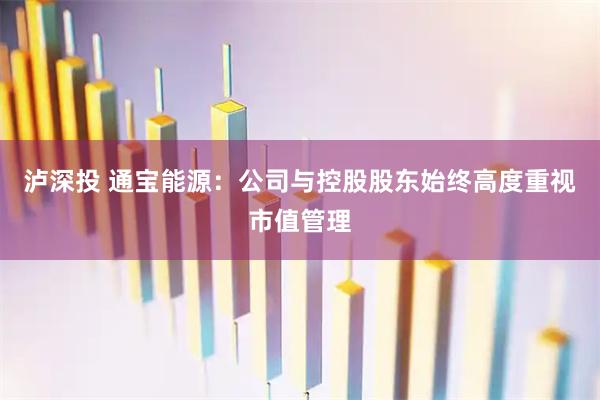泸深投 通宝能源：公司与控股股东始终高度重视市值管理