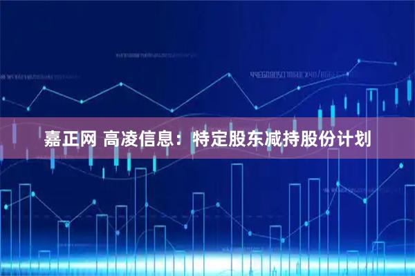嘉正网 高凌信息：特定股东减持股份计划