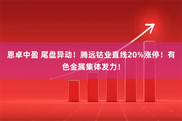 恩卓中盈 尾盘异动！腾远钴业直线20%涨停！有色金属集体发力！