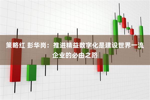 策略红 彭华岗:推进精益数字化是建设世界一流企业的必由之路